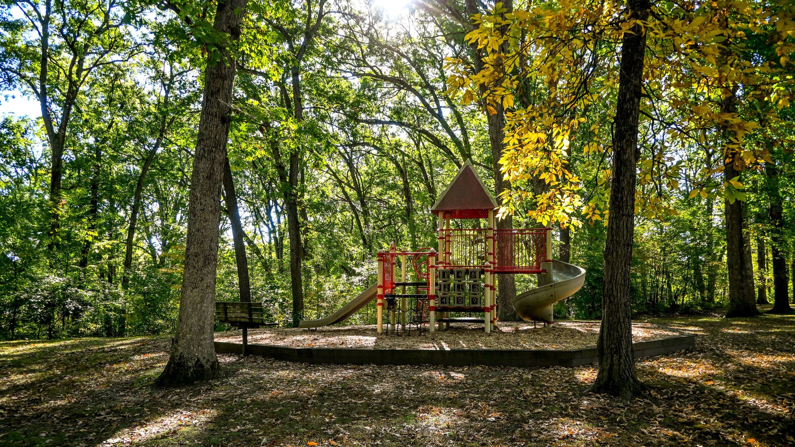 Forest Park Playground 1